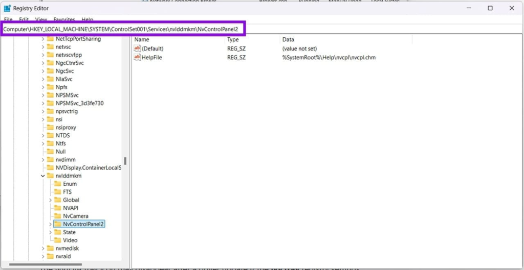 Check NVIDIA Settings in the Windows Registry